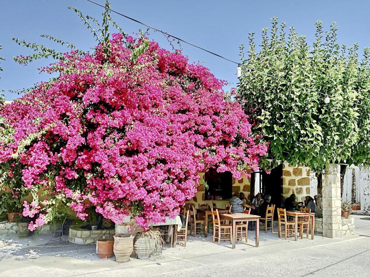 Villa Artemis Vryses Crete Alikampos ภายนอก รูปภาพ